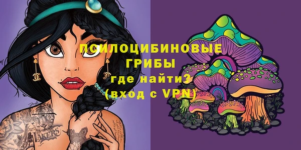 твердый Кулебаки