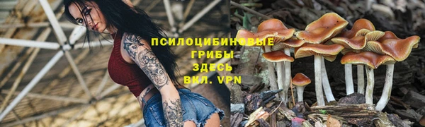 твердый Кулебаки