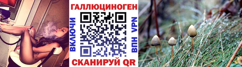 Псилоцибиновые грибы GOLDEN TEACHER  Купить  Ардатов 